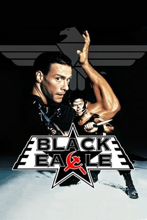 Black Eagle 1988 100mb Hindi Dual Audio movie Download - Movierulz