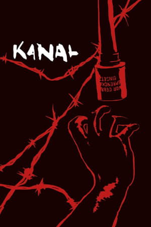Kanal 2015 Hindi Dual Audio [1.3GB] - Movierulz