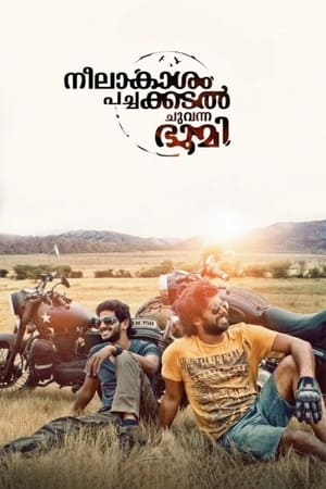 Neelakasham Pachakadal Chuvanna Bhoomi (2013) Hindi Dubbed [1.4GB] - Movierulz