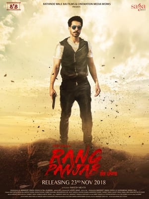 Rang Panjab (2018) Punjabi Movie – [350MB] - Movierulz